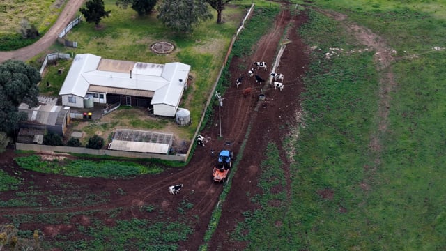 Jervois Road dairies (Billabong, afoho, Beston, Zarantonello, an6wf)