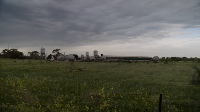 Handheld - FIre Sept 2025