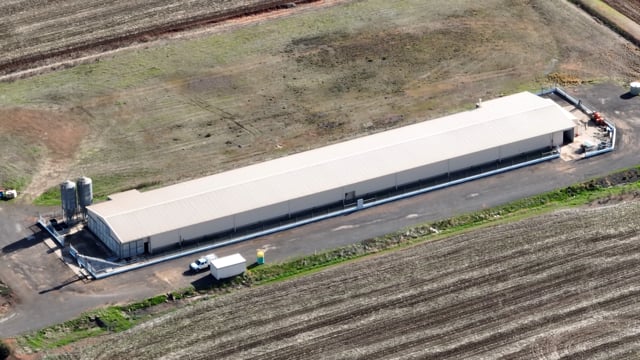 Bridgewater Estate Eggs - Drone Compilation