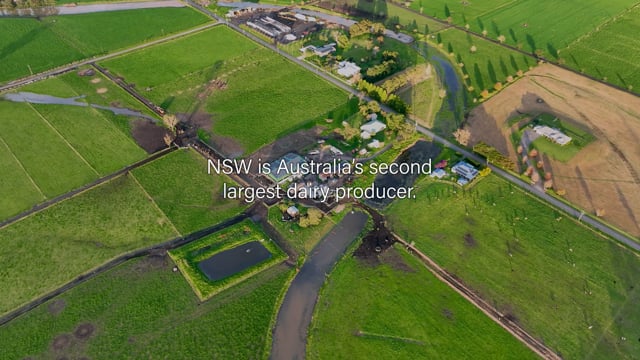 NSW Dairies 2025 - Summary