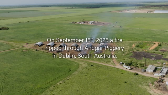 Fire aftermath video