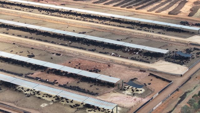 DJI_20251121151607_0002_D