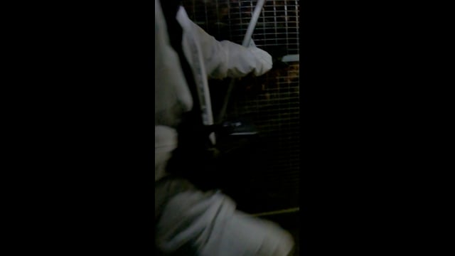 Valley Park Investigation Video (Portrait)