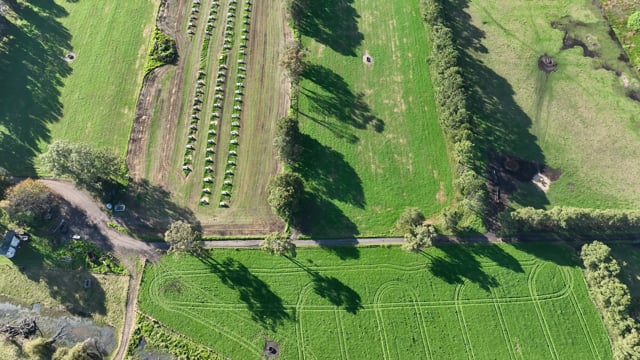 NSW Calf Crates 2025 - Drone