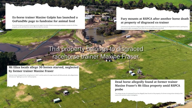 Maxine Fraser investigation summary