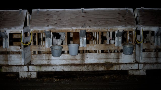 Mendes pan of hutches