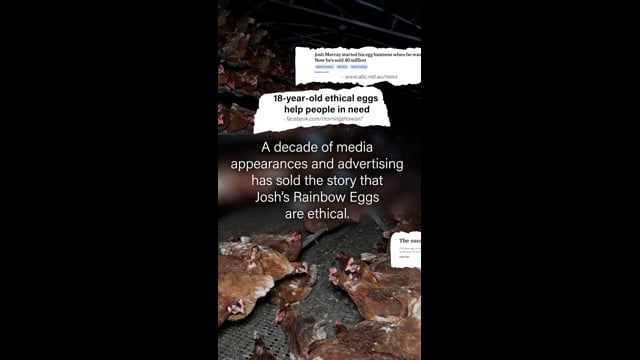 Josh's Rainbow Eggs - Campaign Video (Vertical)