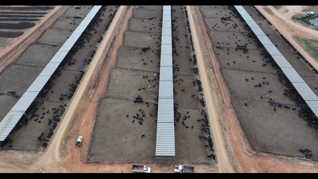 DJI_20251121152751_0034_D