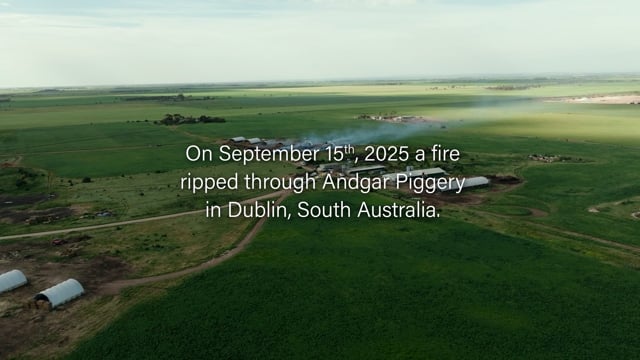 Fire aftermath video