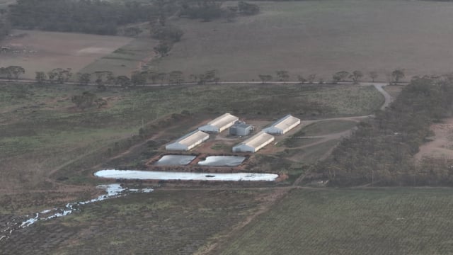 Drone flyover of grower piggery