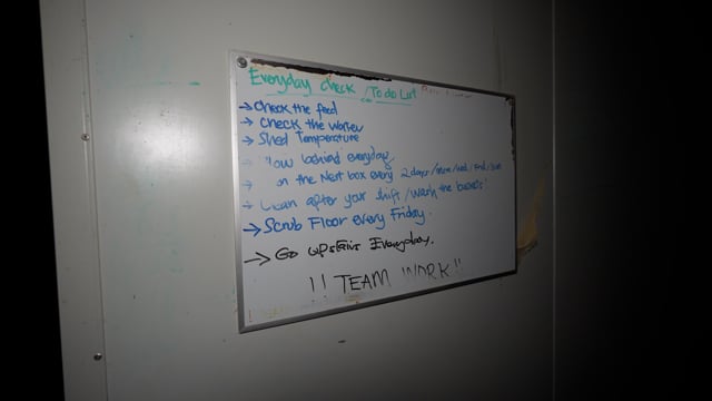 Bridgewater Estate Eggs (Handheld Compilation)