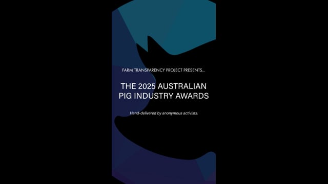 FTP Pig Industry Awards 2025 (IG)
