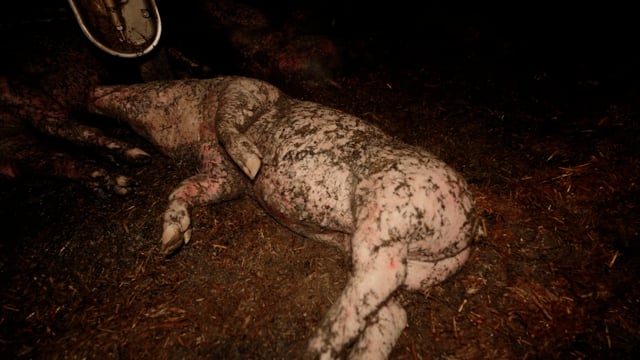 Handheld fire aftermath