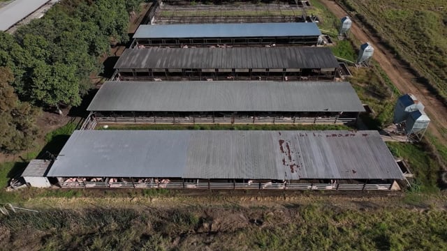 Burnett Pork Alliance Piggery