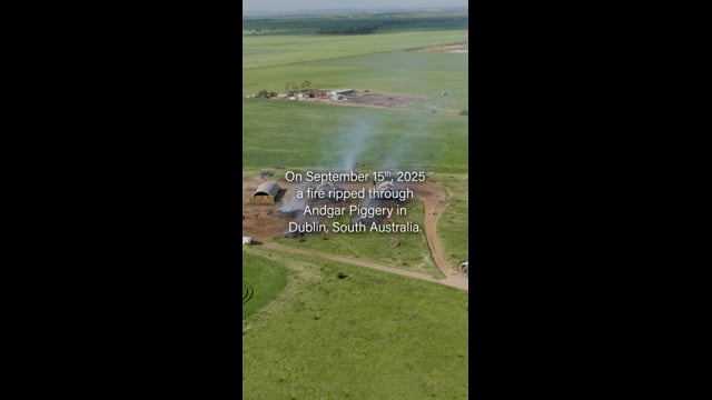 Fire aftermath video (IG)