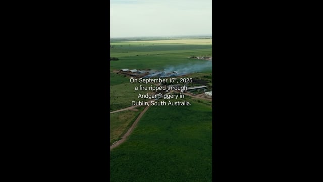 Fire aftermath video - instagram